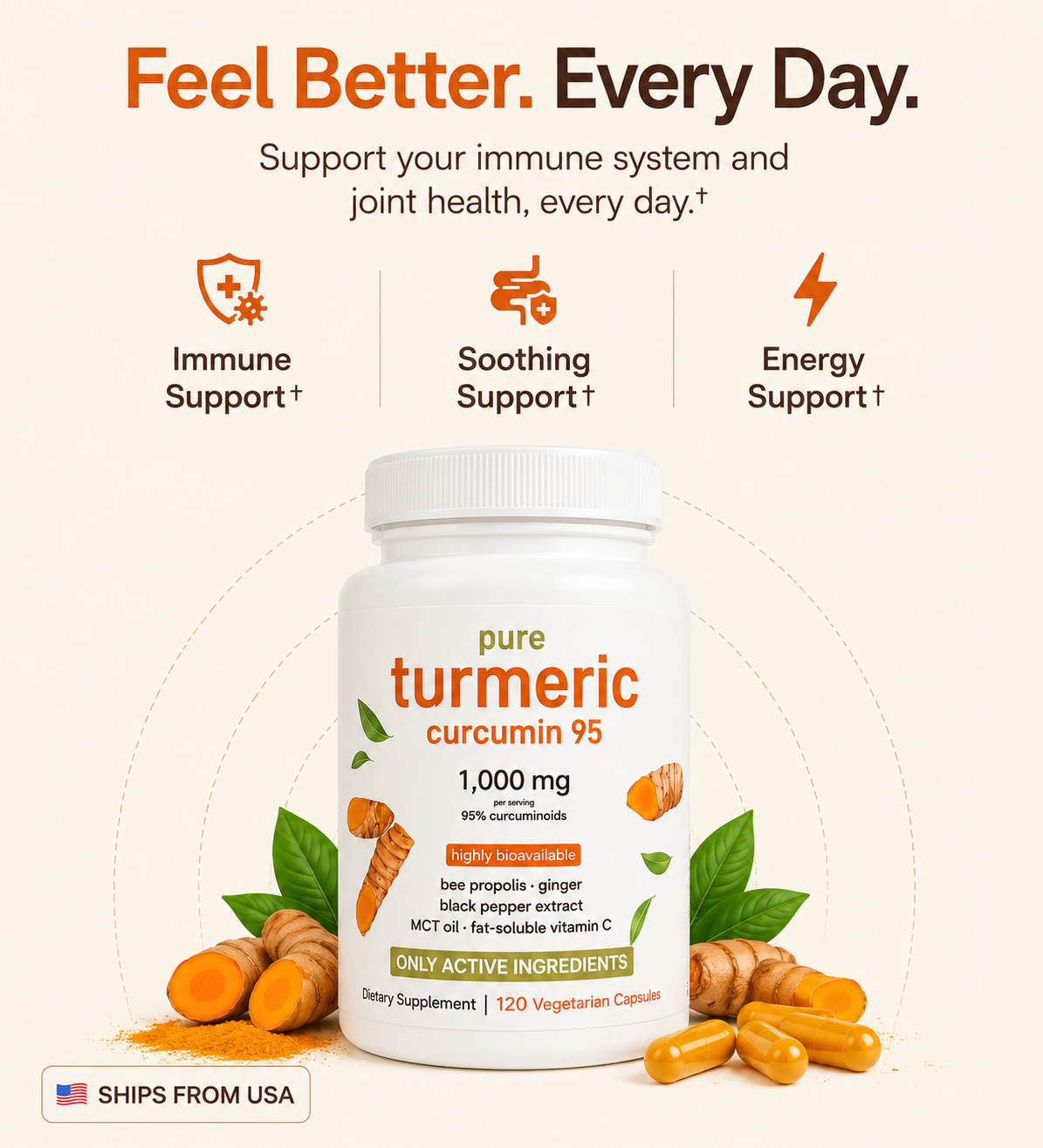 Turmeric Curcumin - 1000mg Capsules